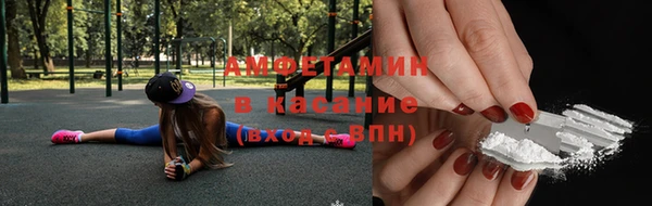 прущие грибы Абинск