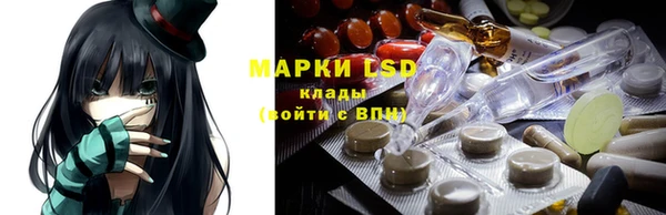 прущие грибы Абинск