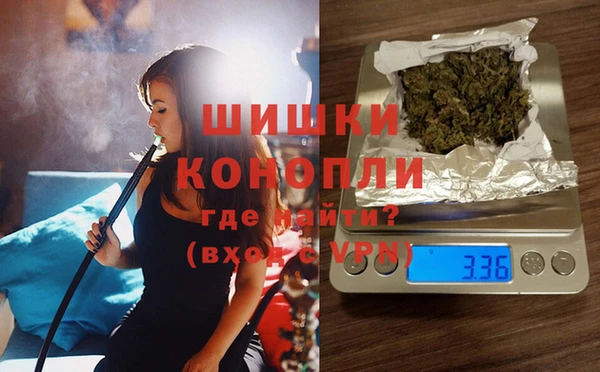 прущие грибы Абинск