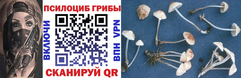 Галлюциногенные грибы Psilocybe  ссылка на мегу   Кириллов 